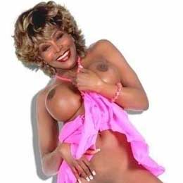 Tina Turner Naked