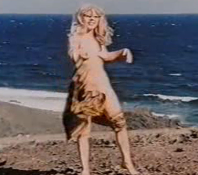 Fritzi Ross