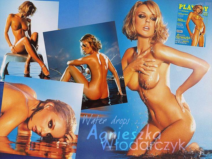 Agnieszka Włodarczyk